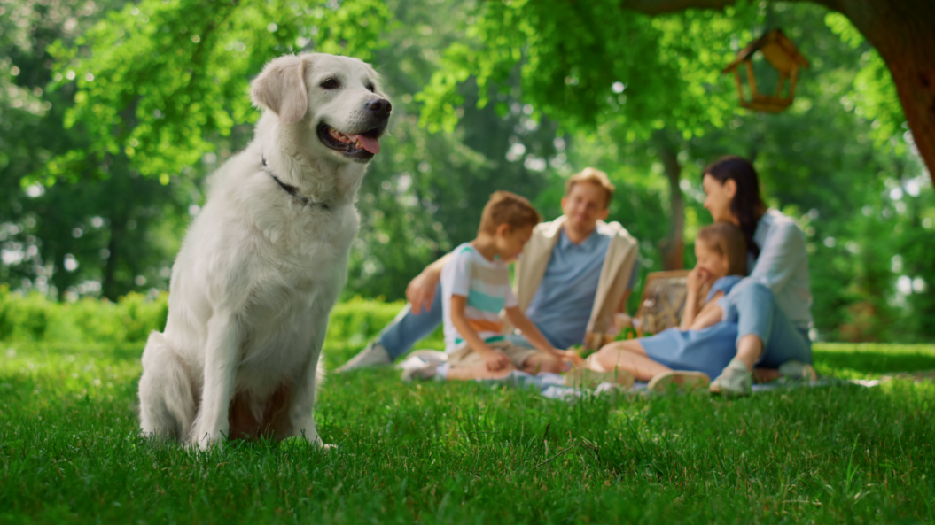 国产亚洲福利在线视频